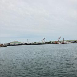 ⭐︎ぎりテイクアウトサイズ