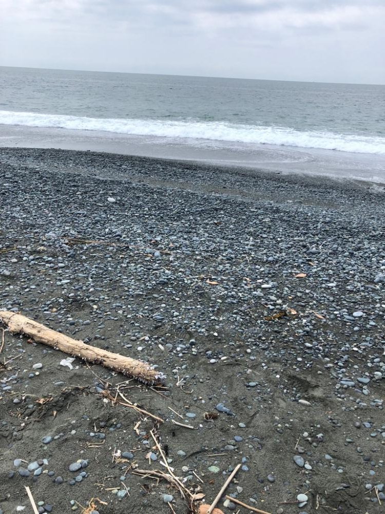 ちっさいショゴちゃん