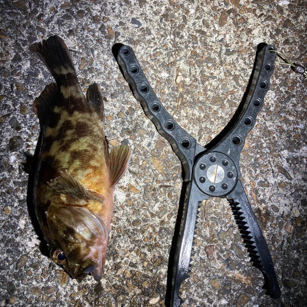 とにかく、釣りを楽しむ！