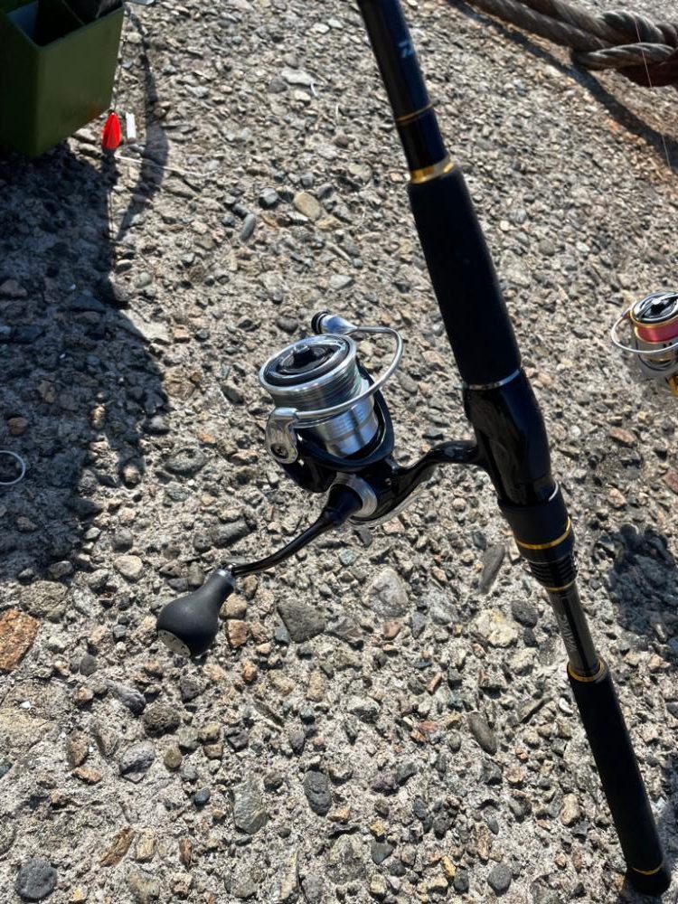 キス釣りシーズン到来 ちょい投げ