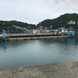 サビキ御三家２