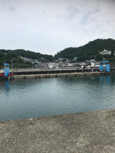 サビキ御三家２