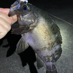 いいサイズ揃いました