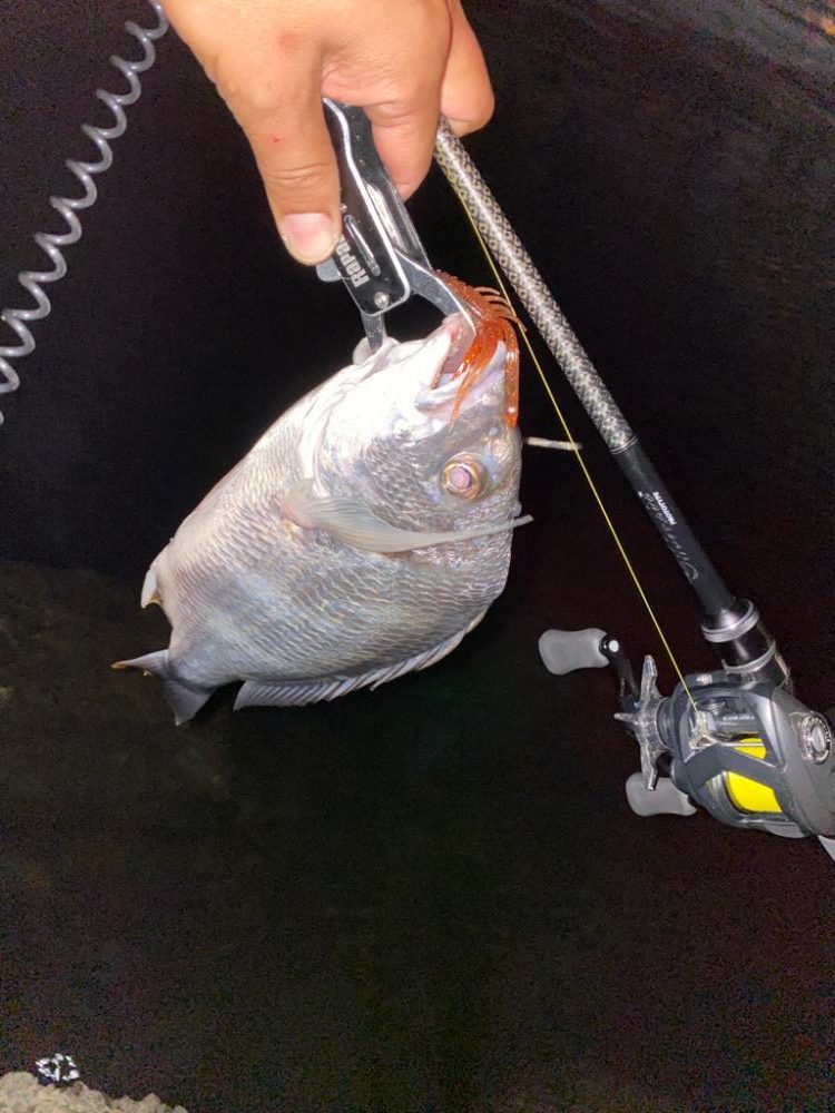 笹濁りナイトチニング 　淀川