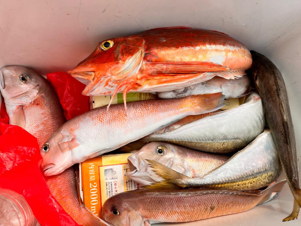 シロアマダイ釣り