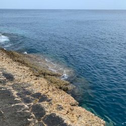 尾長を求めてパート2