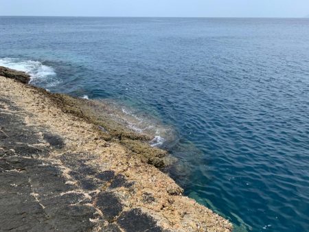 尾長を求めてパート2