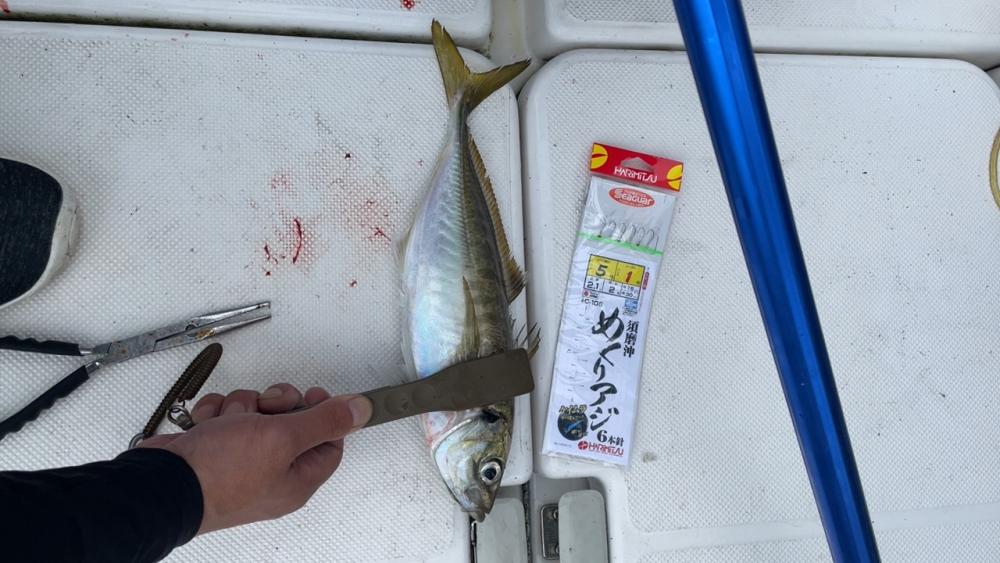 アジを釣るっ!