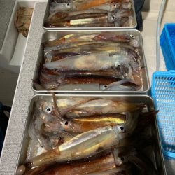 １４日マイカ半夜便