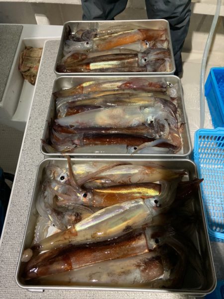 １４日マイカ半夜便