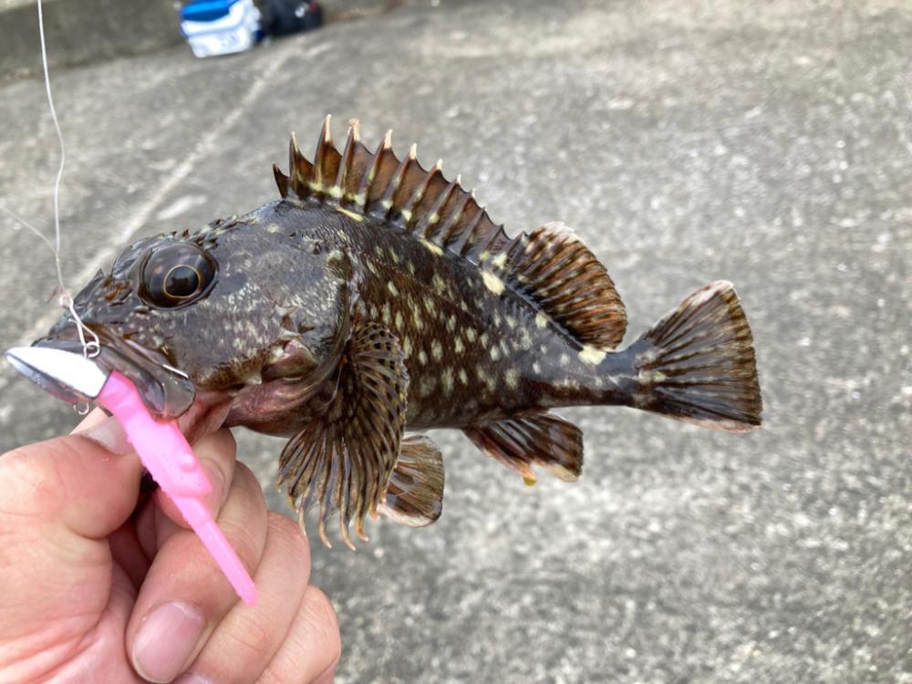 2年ぶりの釣り大会