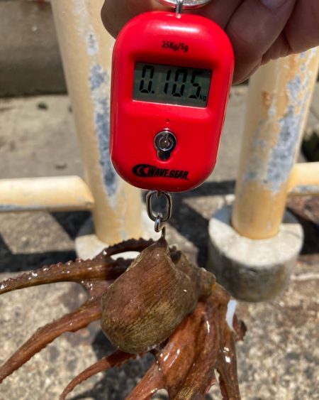 ⭐︎Are you ready?