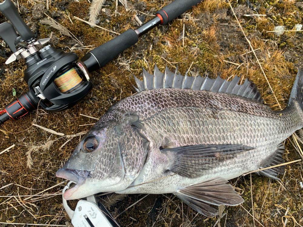 シルバーウルフの鱗付でナイスチヌ！