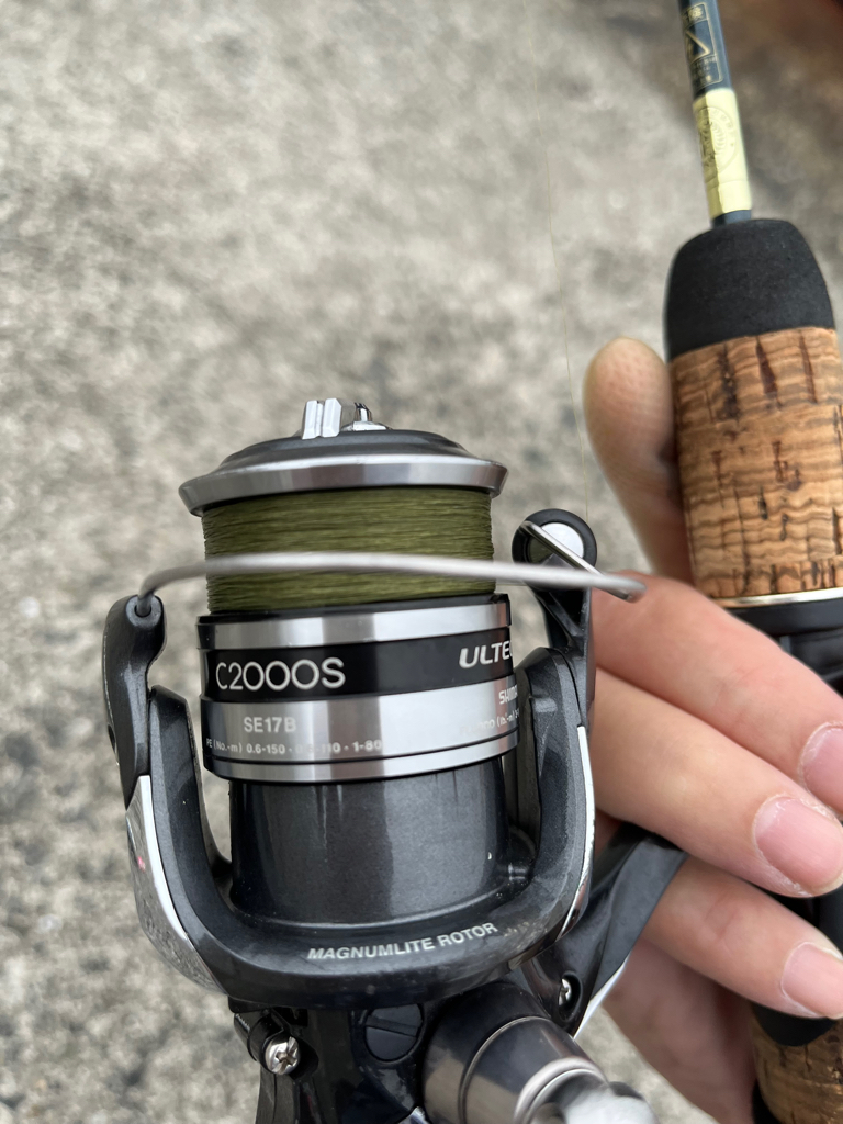 ブリ狙でモジャコに癒される