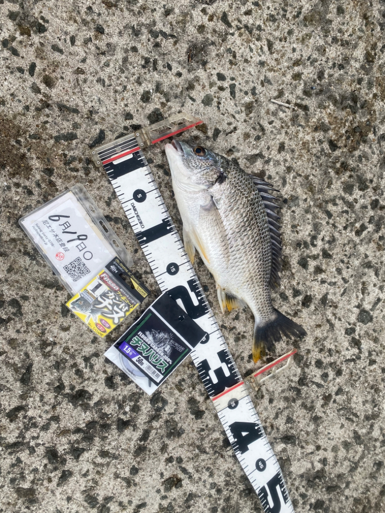 間開けず反応有り