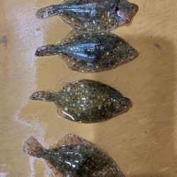 須磨海岸キス狙い