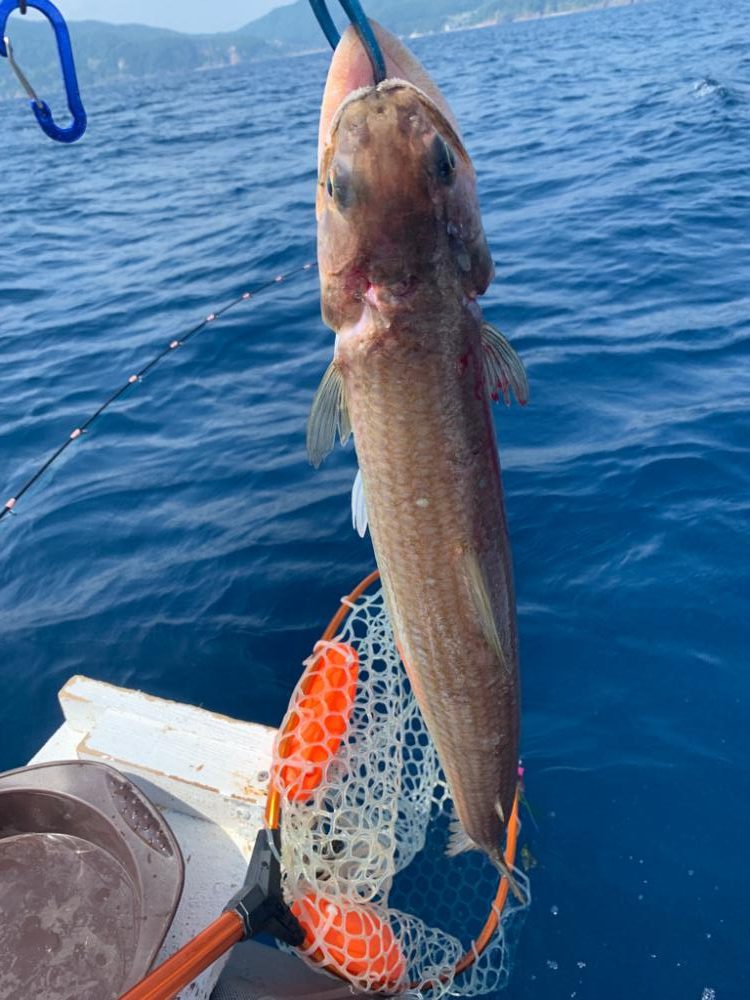 マイボートでアマダイ釣行。