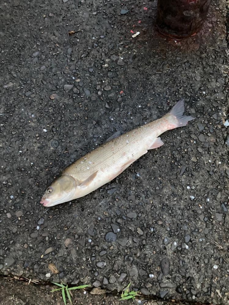 遊んでいたのにゴメン！