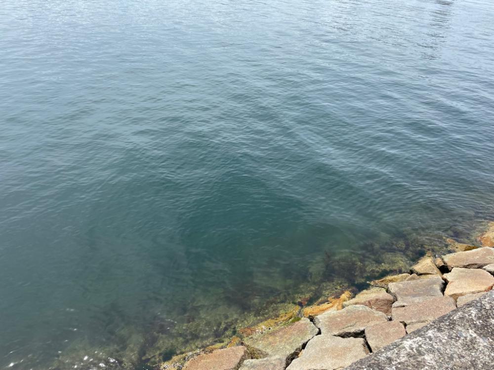 いつものパターン⁇