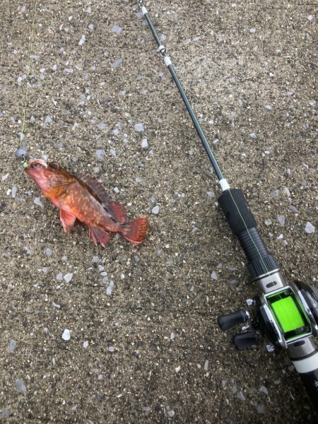 2022穴釣り15回目