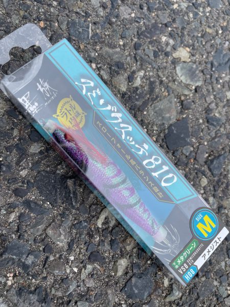 鳥取沖でイカメタル