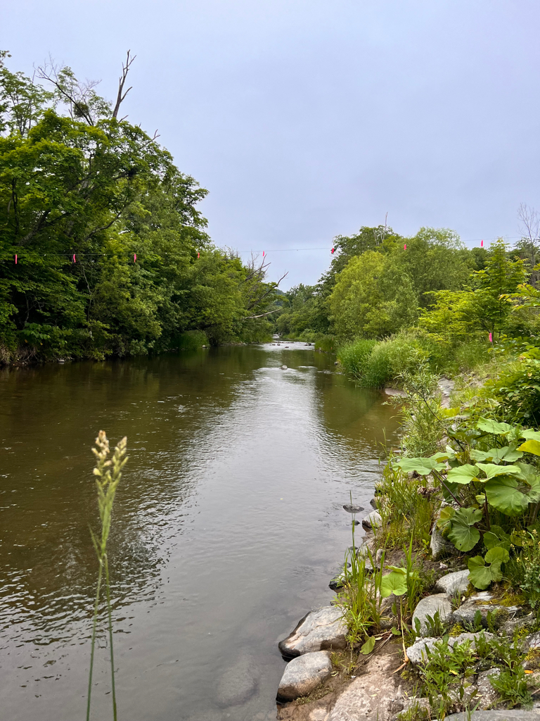 渓流ルアーフィッシング
