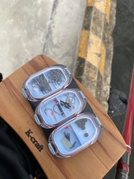 名古屋港落とし込み黒鯛！