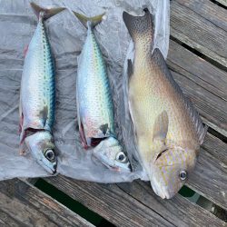 木下丸　伝馬船