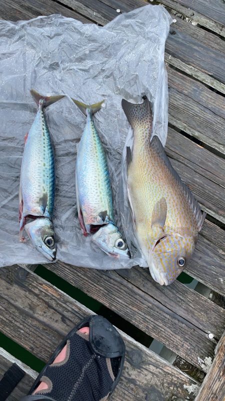 木下丸　伝馬船