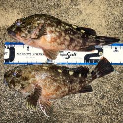 やはり仕上げは・・・