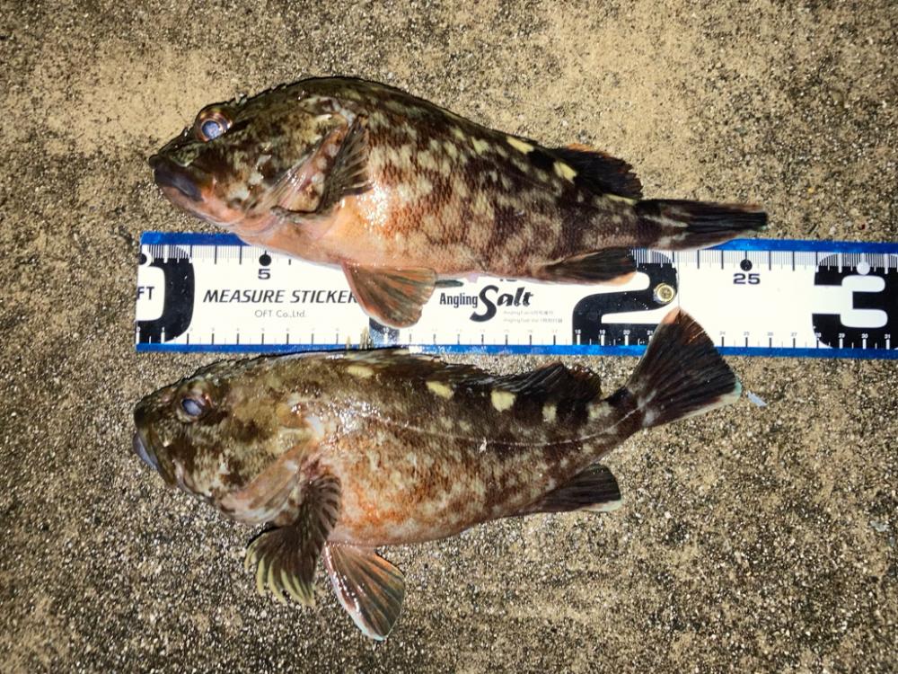 やはり仕上げは・・・