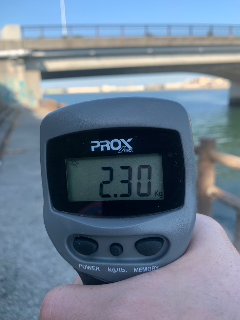 タコが食べたい！