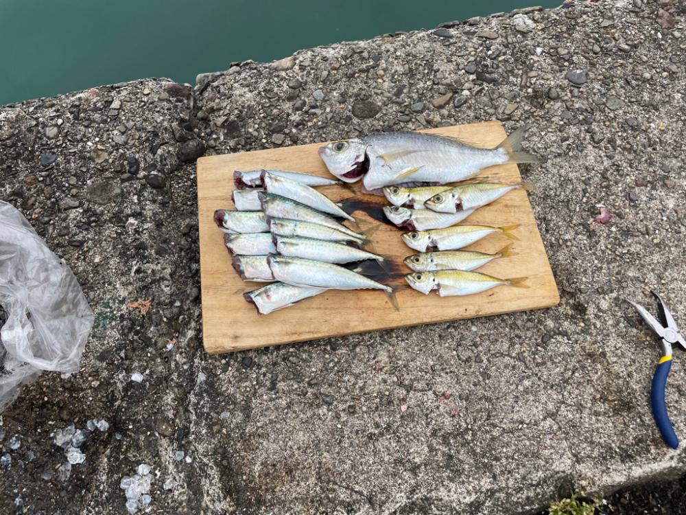 ファミリーフィッシング