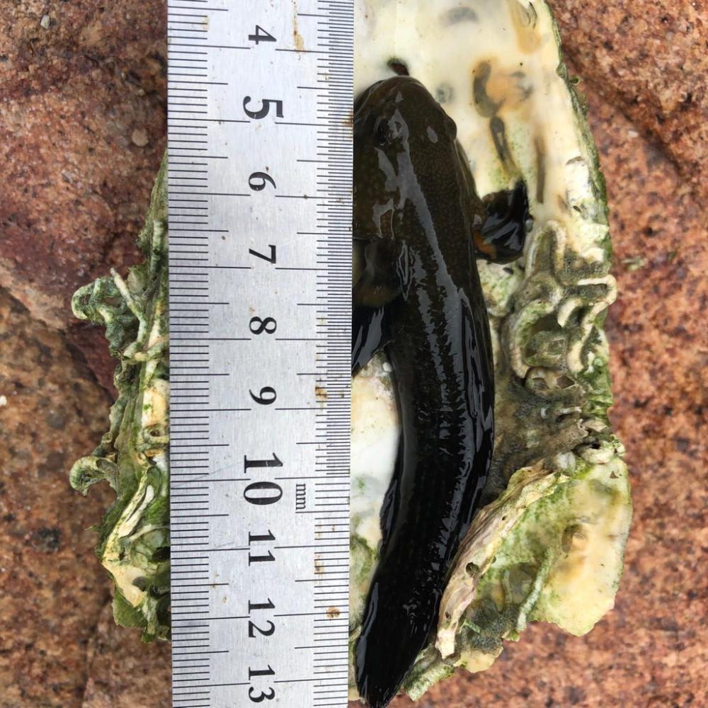 楽しい夕方のひと時(^ ^)