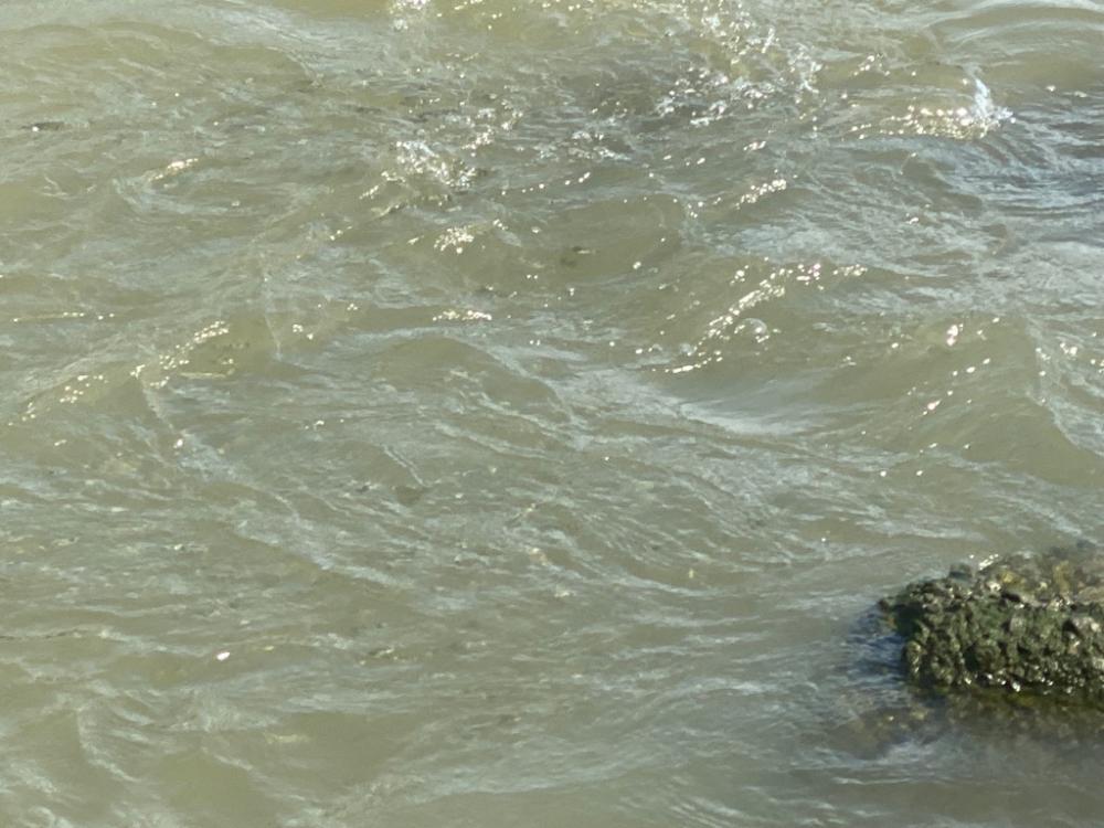 カフェオレの濁りチニング