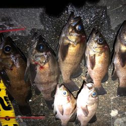 悔しさ残るメバリング