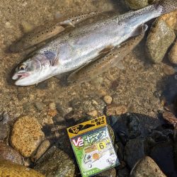 本流アマゴ釣り
