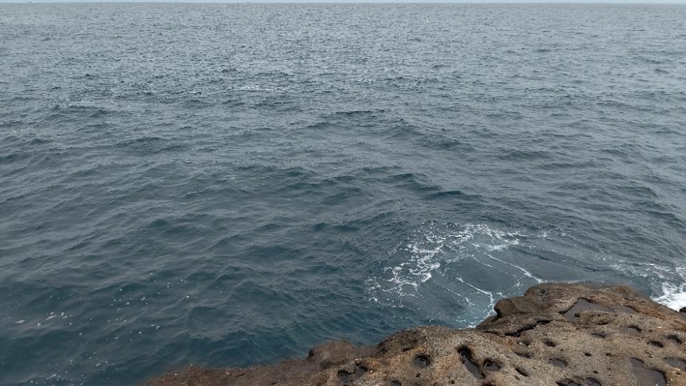 小さいやつしかよう釣らん。