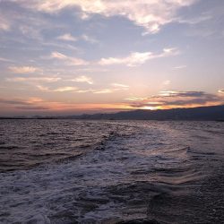 武庫川一文字で落とし込み釣り