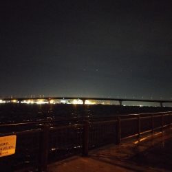 夜釣り　短時間釣行