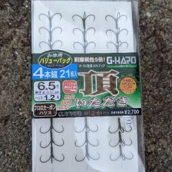 飛騨川漁協　支流鮎解禁