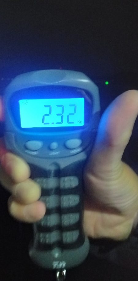 またもや２キロアップ！