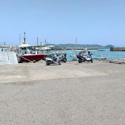 アジ狙いの乗合船