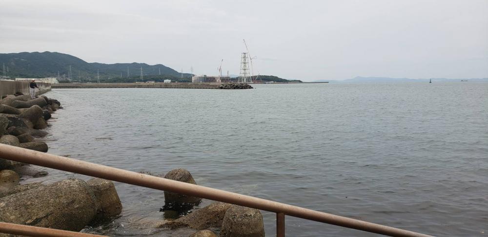 アジング@深日す