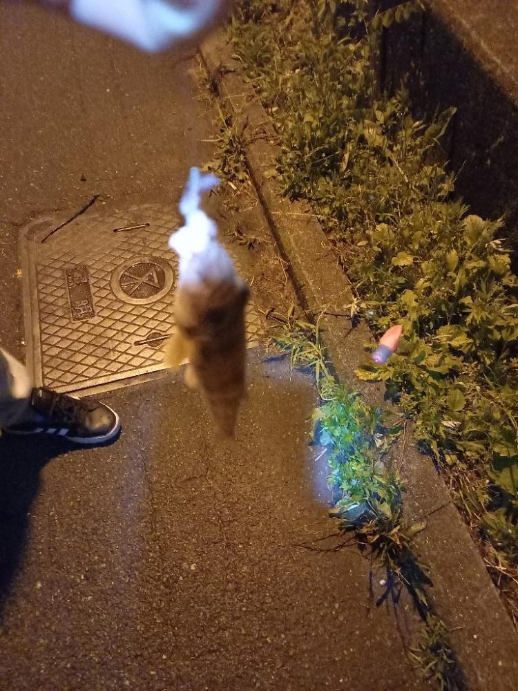 淀川ウナギつり