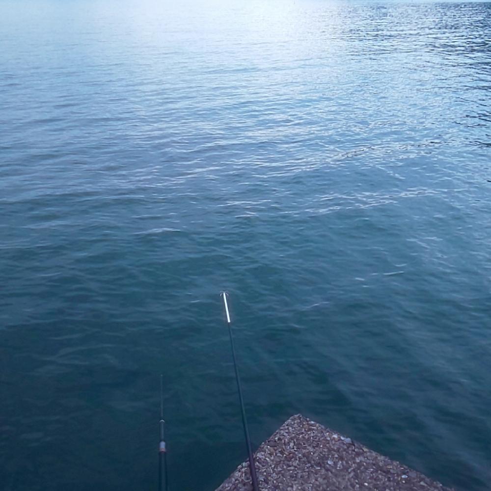 ギュィンギュィン、ジーー