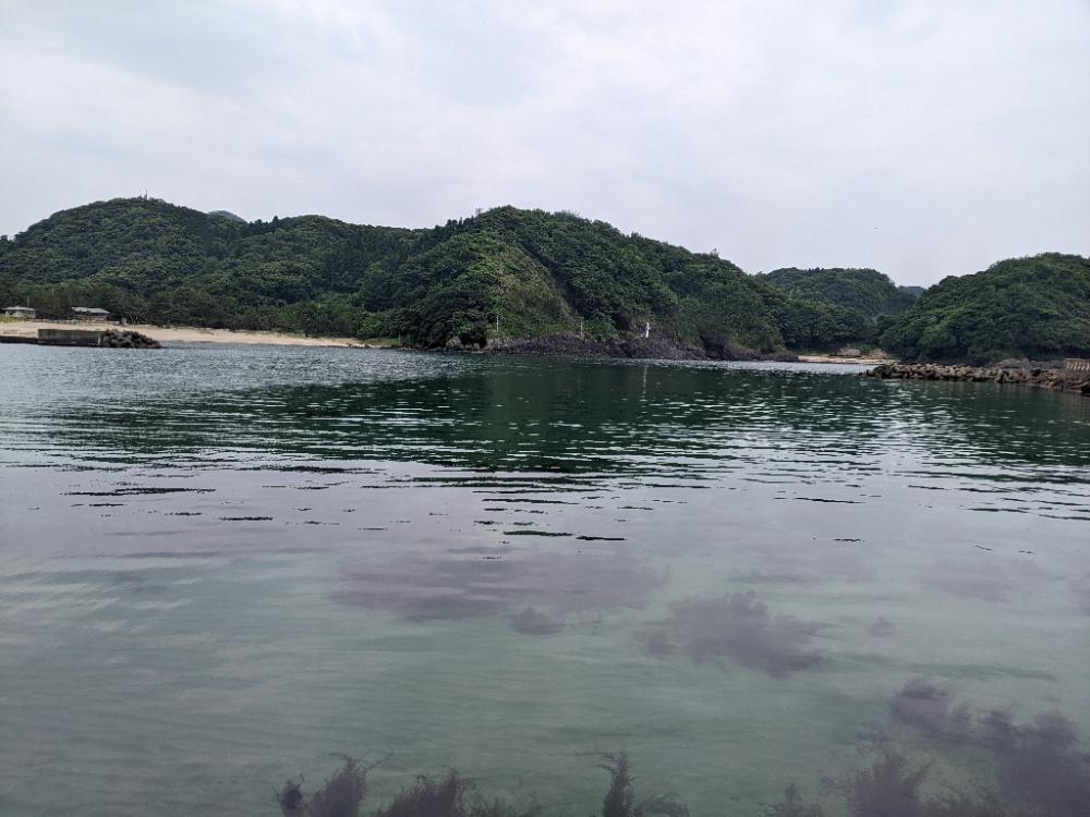 え?アジわ?…#$=@#$