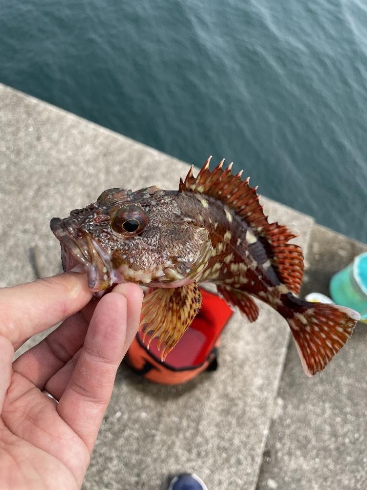 一文字でアジアジ