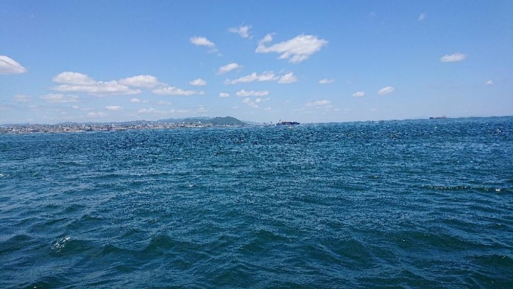 コブダイ釣り(照さんと三男)