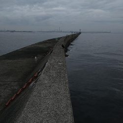 虫エサでカサゴ狙い☆